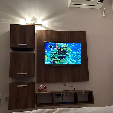Vip Dolphin Napospart